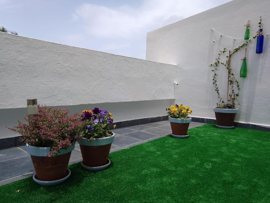 Apartamento Humboldt ,Island Paradise La Orotava Extérieur photo